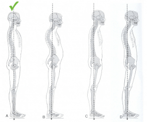 Alineación de la columna saludable